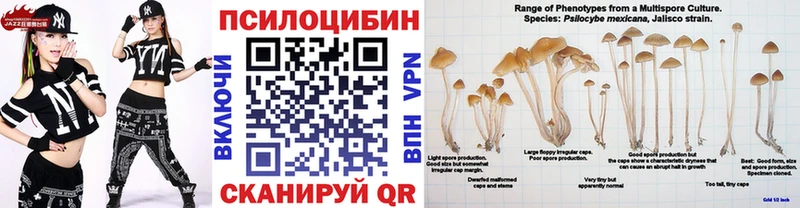 хочу   Губкин  Псилоцибиновые грибы Magic Shrooms 